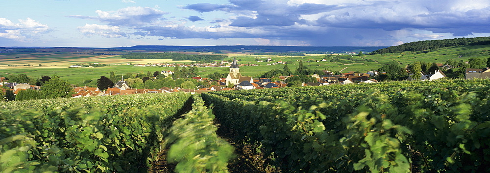 View over Champagne vineyards to the village of Villedommange (Ville Dommange) from the chapel of Saint-Lie, Champagne Region, Marne, France, Europe