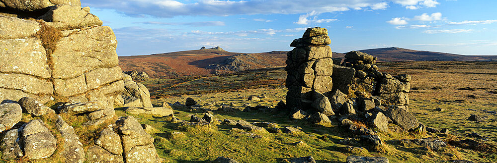 Hound Tor granite rock formation in evening sunlight, near Manaton, Dartmoor National Park, Devon, England, United Kingdom, Europe