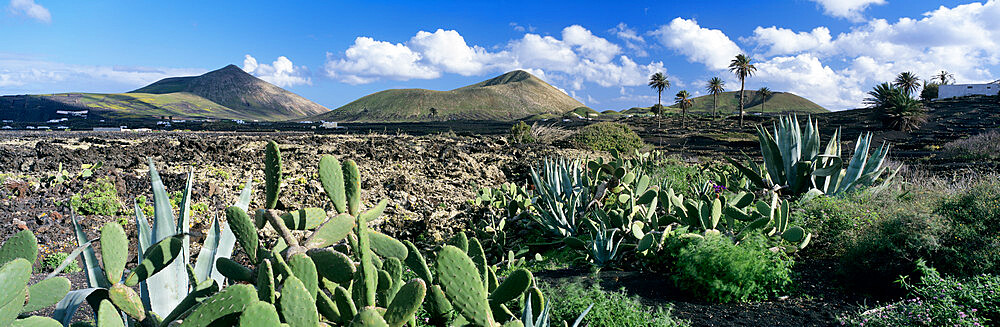 View over the volcanic landscape of Parque Natural de Los Volcanes, La Geria, Lanzarote, Canary Islands, Spain, Atlantic, Europe