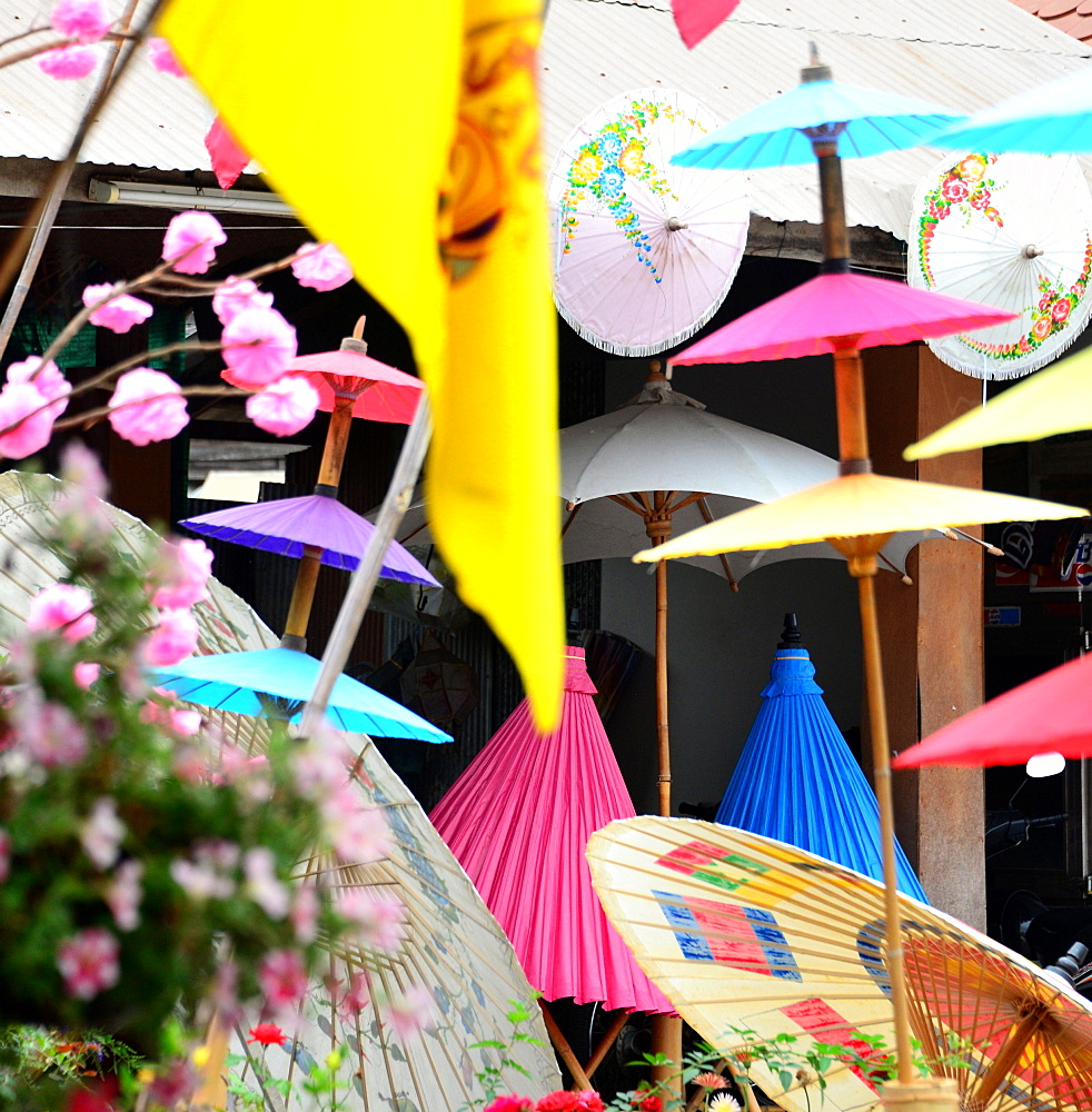 Umbrellas near Chiang Mai, North-Thailand, Thailand