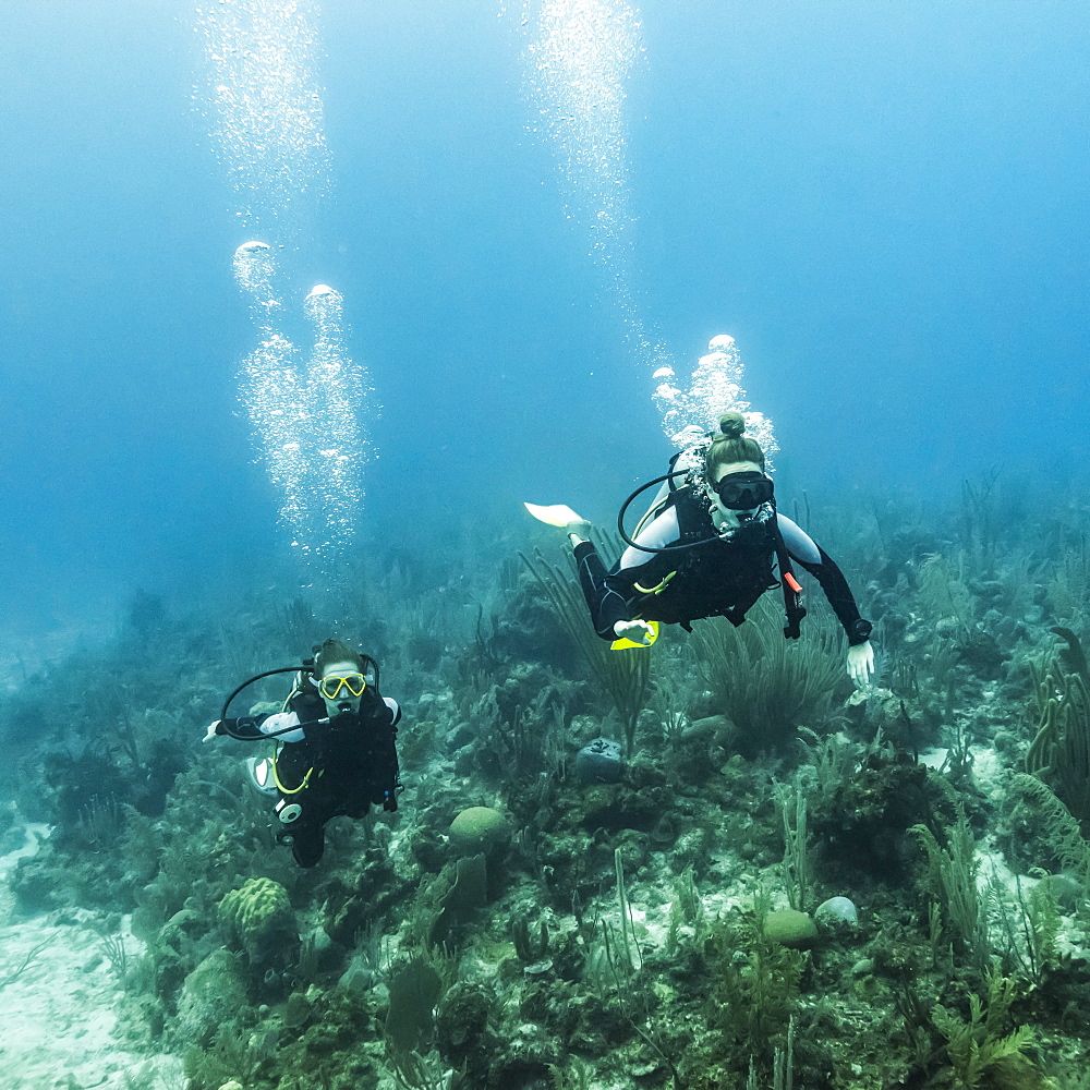 Scuba divers at Joe's Wall Dive Site, Belize Barrier Reef, Belize