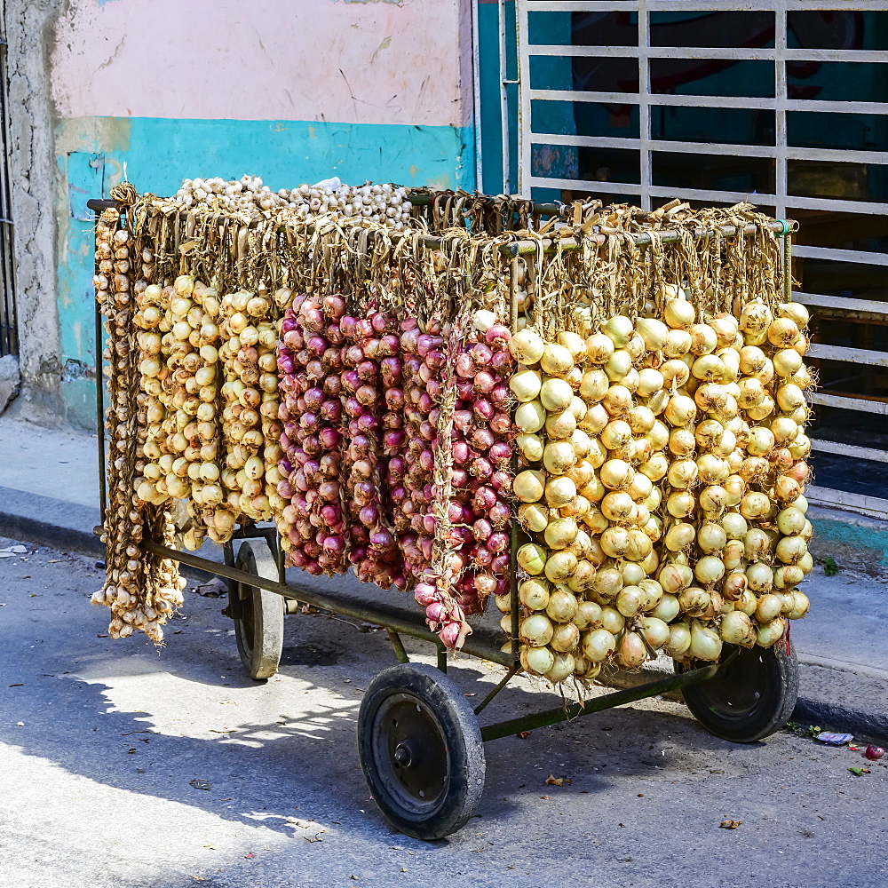 Strings of fresh onions and garlic for sale on a cart in the street, Havana, Cuba