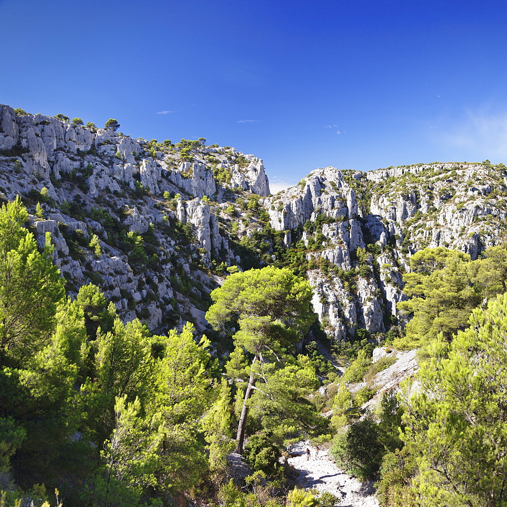 People hiking through rocky landscape of les Calanques, National Park, Cassis, Provence, Provence-Alpes-Cote d'Azur, Southern France, France, Europe