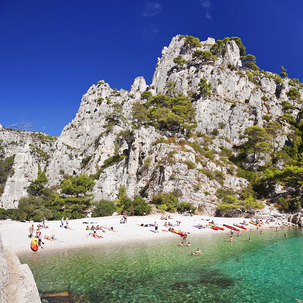 Les Calanques d'en Vau, National Park, Cassis, Provence, Provence-Alpes-Cote d'Azur, Southern France, France, Mediterranean, Europe