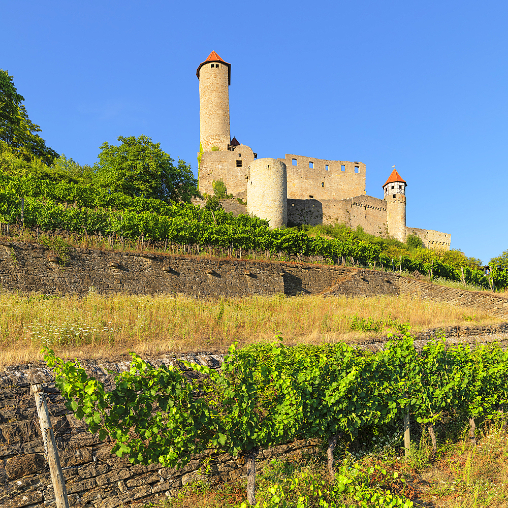 Hornberg Castle, Neckarzimmern, Neckartal Valley, Odenwald, Burgenstrasse, Baden-Wurttemberg, Germany, Europe