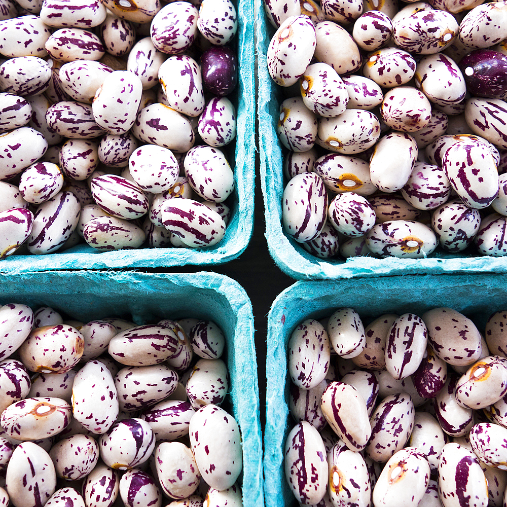 Containers of spotted beans