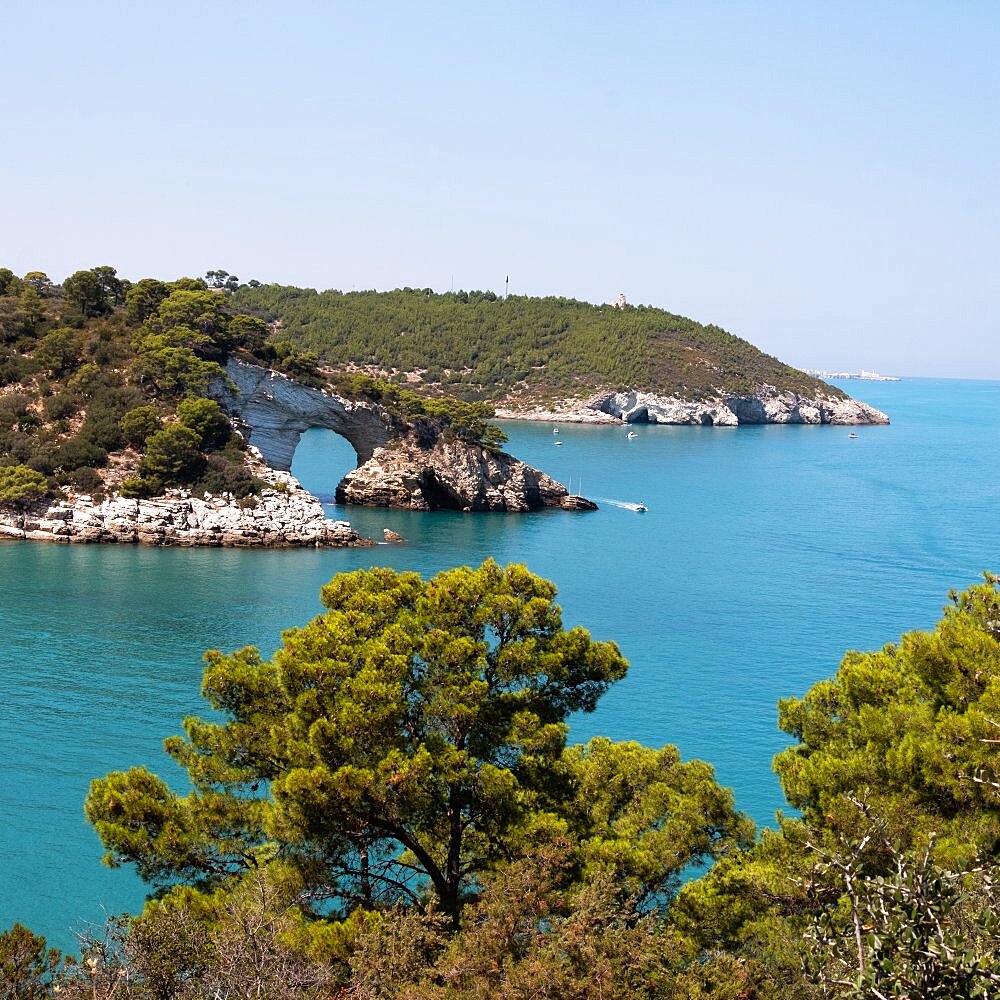 Italy, Apulia, Gargano, Vieste, Baia Lido Di San Felice, Rocky coast of Adriatic Sea