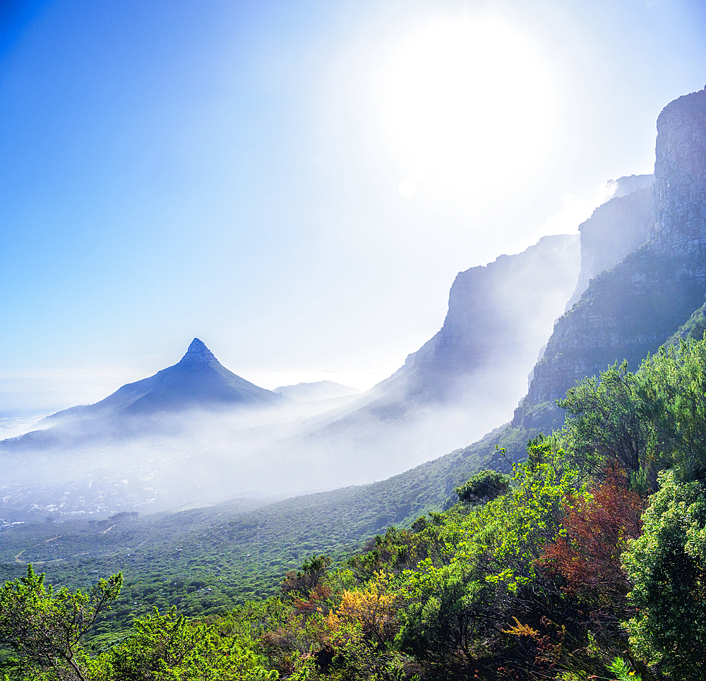 Lions Head peak as seen from the slopes of Table Mountain