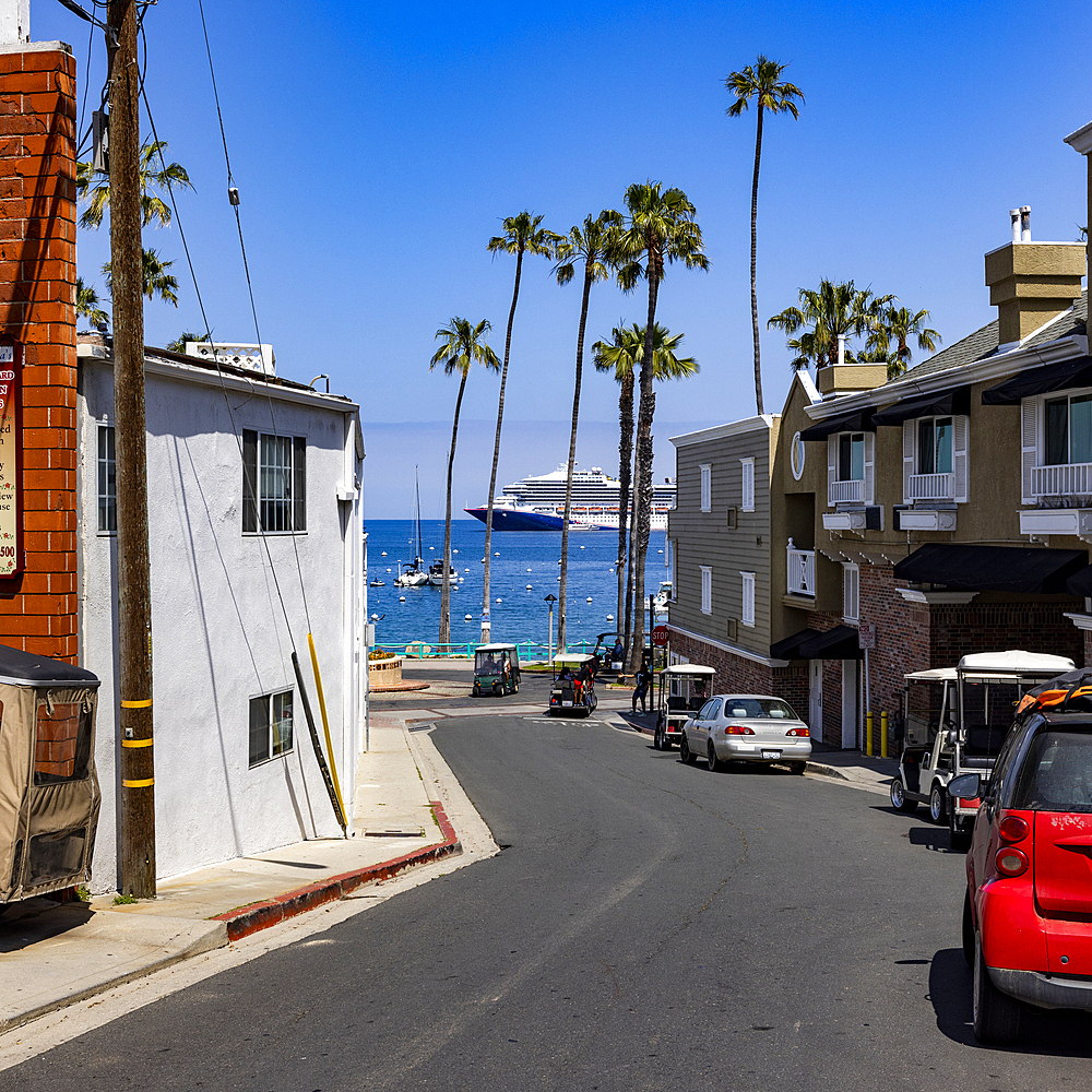 USA, California, Catalina Island, City of Avalon, View down street to Avalon Harbor where cruise ship is docked