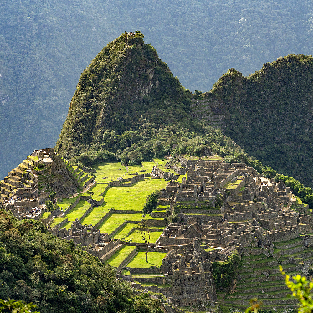 Terraced ruins and hillsides of Machu Picchu