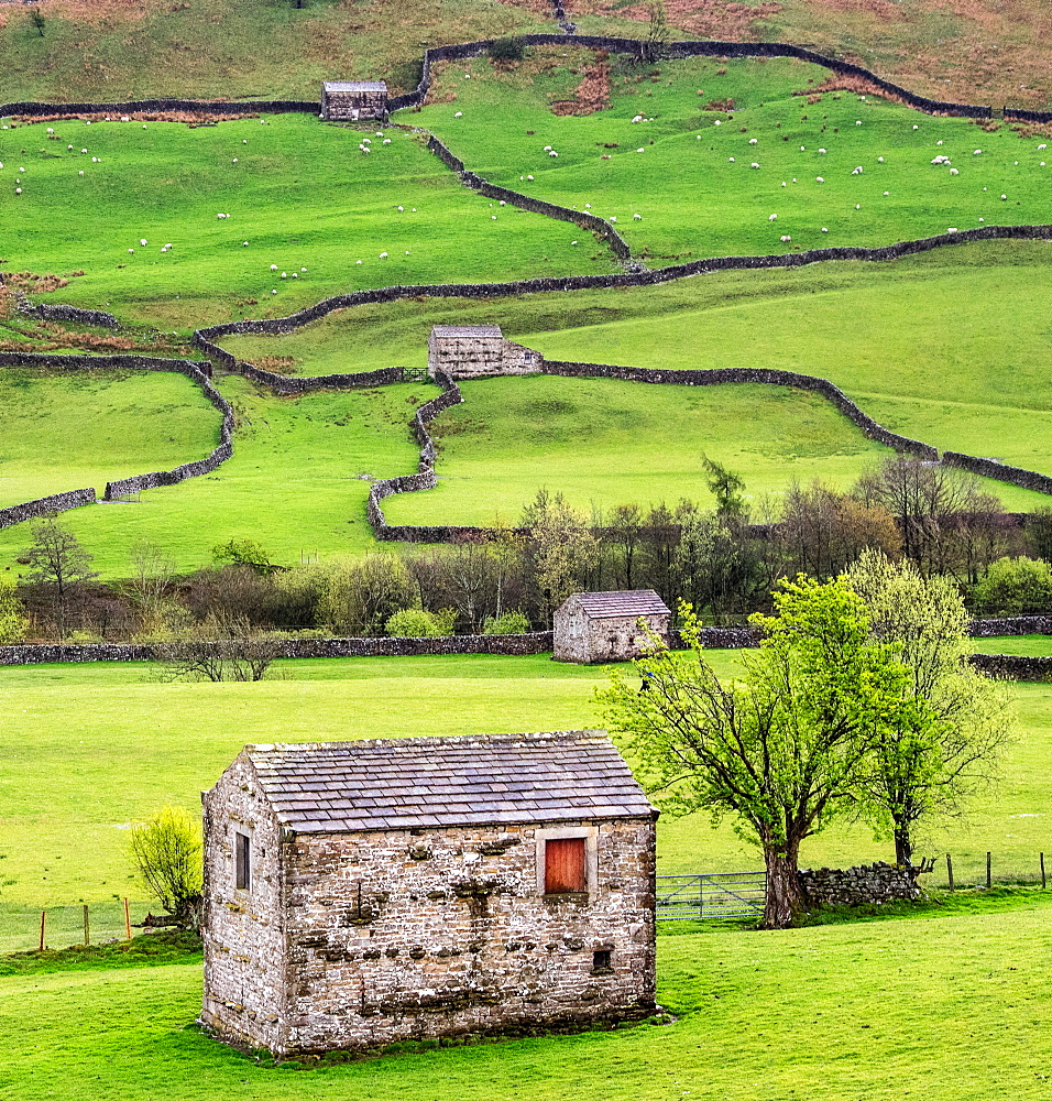 Hay barns, Muker, Swaledale, Yorkshire Dales, Yorkshire, England, United Kingdom, Europe