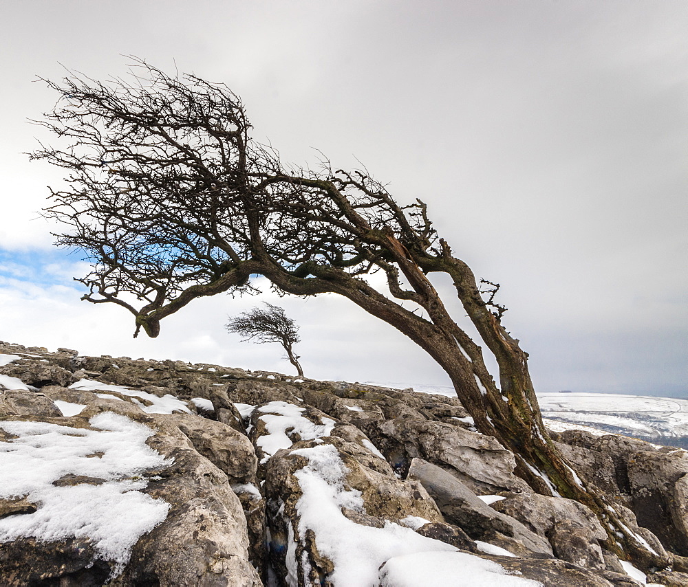 Twistleton Scar End in snow, Ingleton, Yorkshire Dales, Yorkshire, England, United Kingdom, Europe