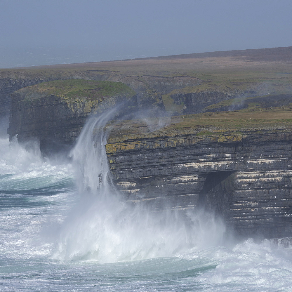 Loop Head, County Clare, Munster, Republic of Ireland, Europe