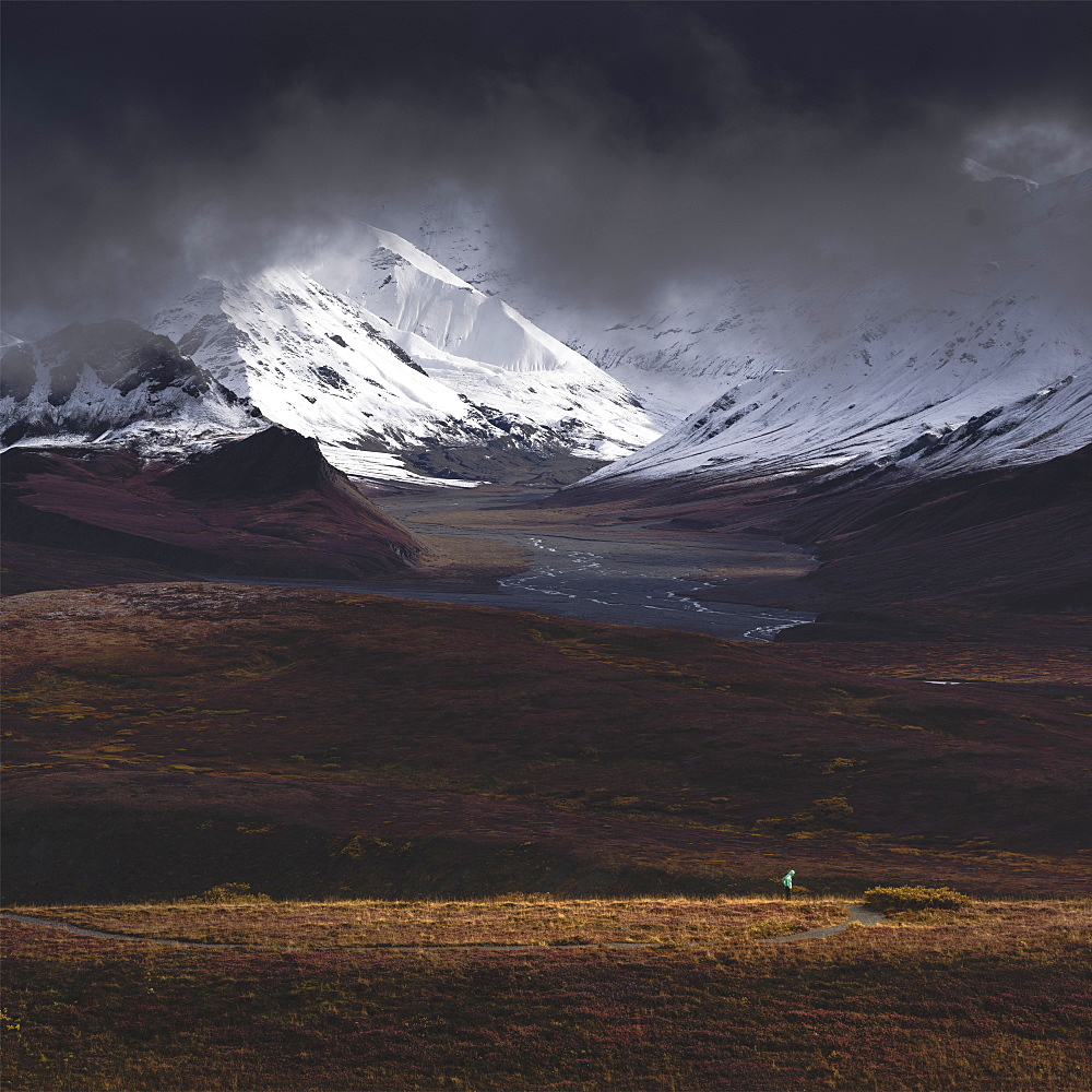 Hiker illuminated by a beam of sunlight after snowfall in the Denali National Park, Alaska, United States of America, North America