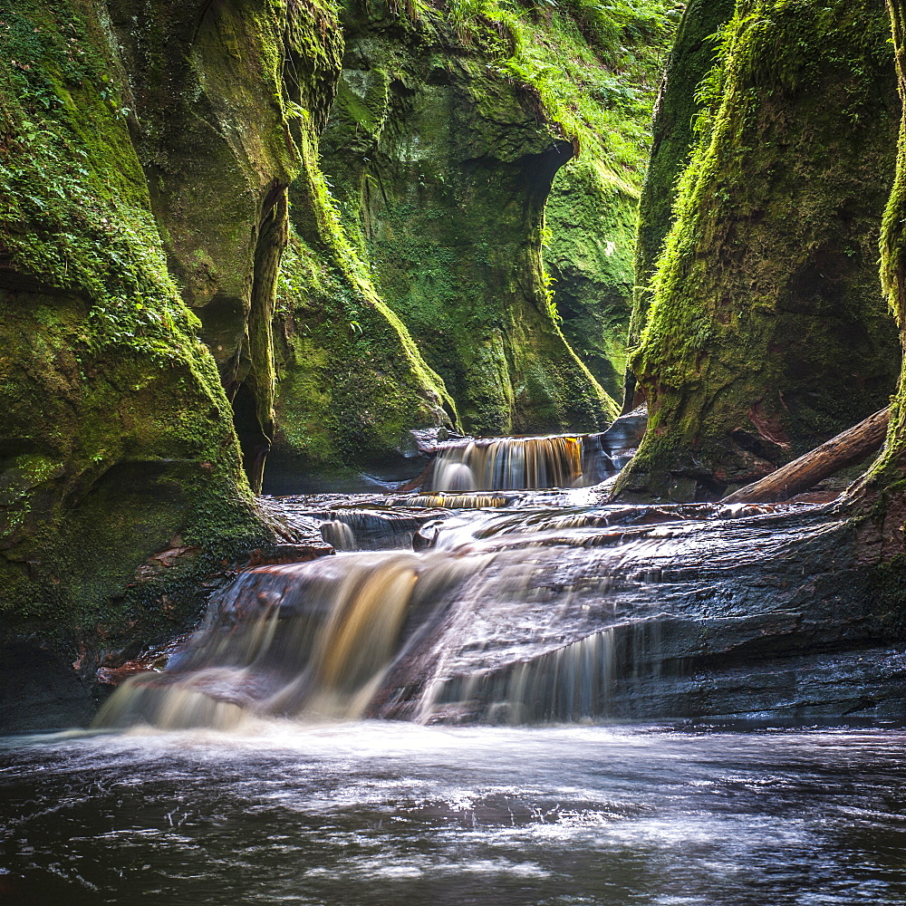 The gorge at Finnich Glen (Devils Pulpit) near Killearn, Stirlingshire, Scotland, United Kingdom, Europe