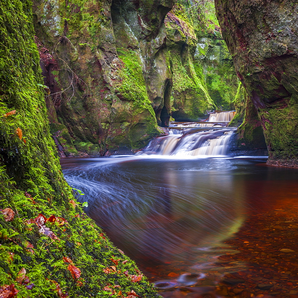 The gorge at Finnich Glen (Devils Pulpit) near Killearn, Stirlingshire, Scotland, United Kingdom, Europe