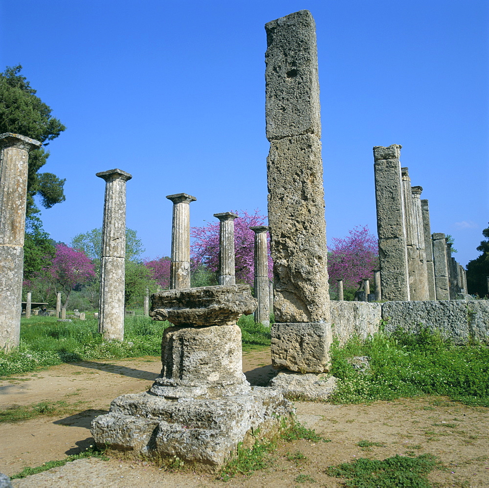 View towards the Palaestra (wrestling school), archaeological site, Olympia, UNESCO World Heritage Site, Greece, Europe