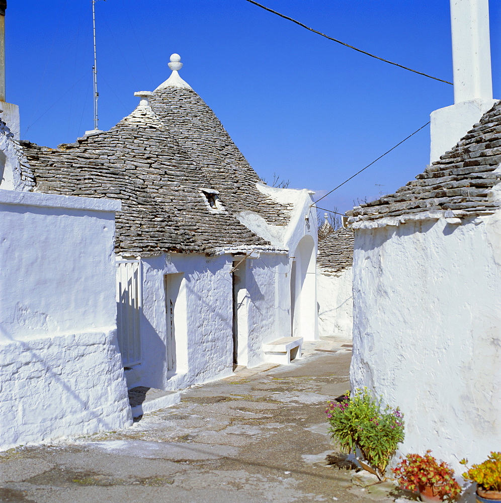 Alberobello, typical Trulli houses, Puglia (Apulia), Italy