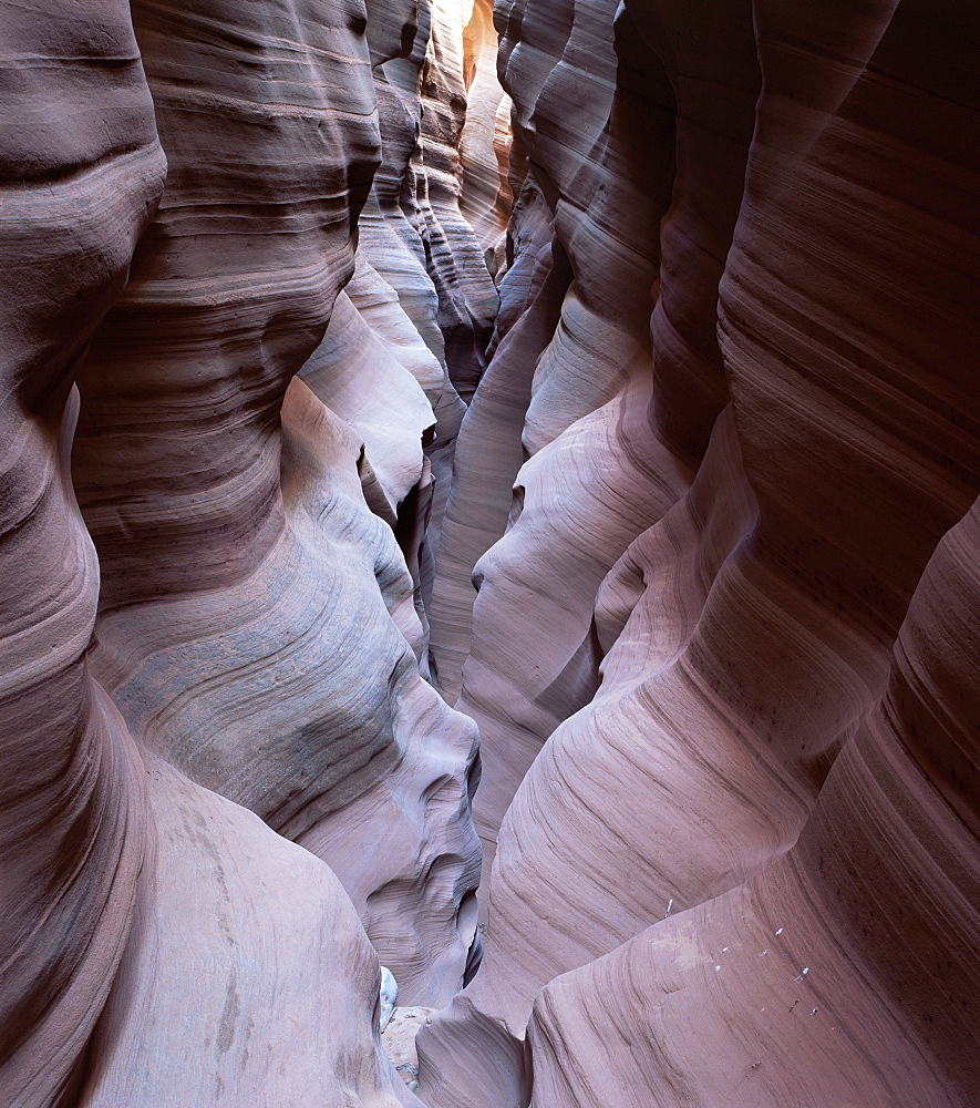 Kabito Canyon, a slot canyon, Arizona, United States of America (U.S.A.), North America