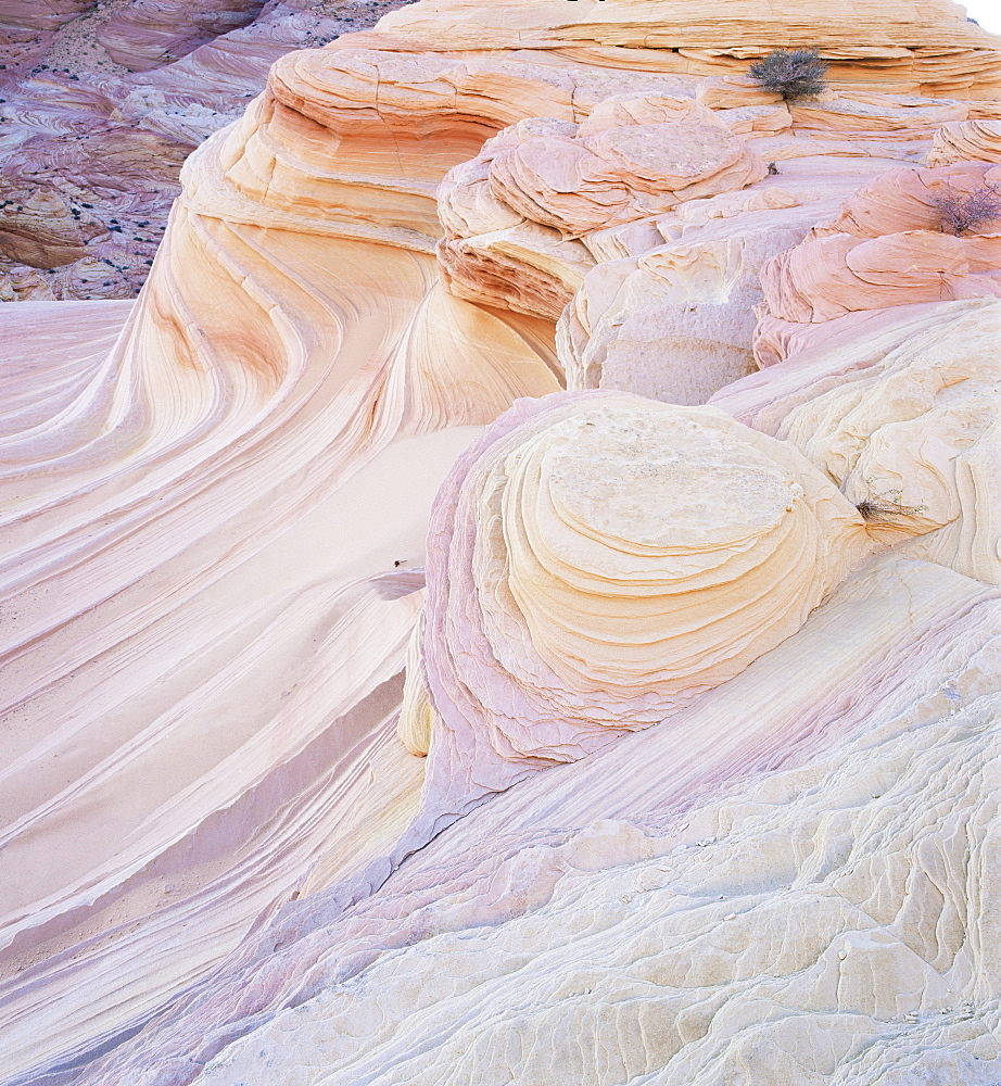 Rock formation known as Swirls on the Colorado Plateau, Arizona, United States of America (U.S.A.), North America