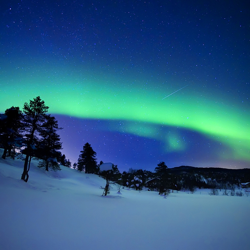 Aurora Borealis and a shooting star in the woods of Troms County, Norway. Auroras are the result of the emissions of photons in the Earth's upper atmosphere.