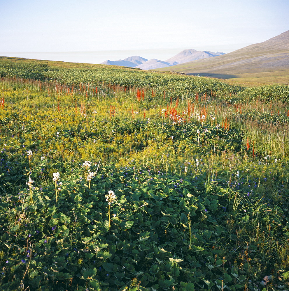 Landscape near ancient village of Itygran, Chukchi Peninsula, Russian Far East, Russia, Asia