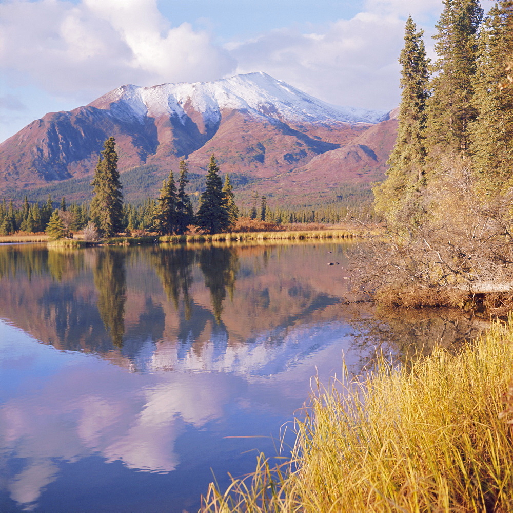 Deneki Lakes, McKinley Park, Alaska, USA, North America