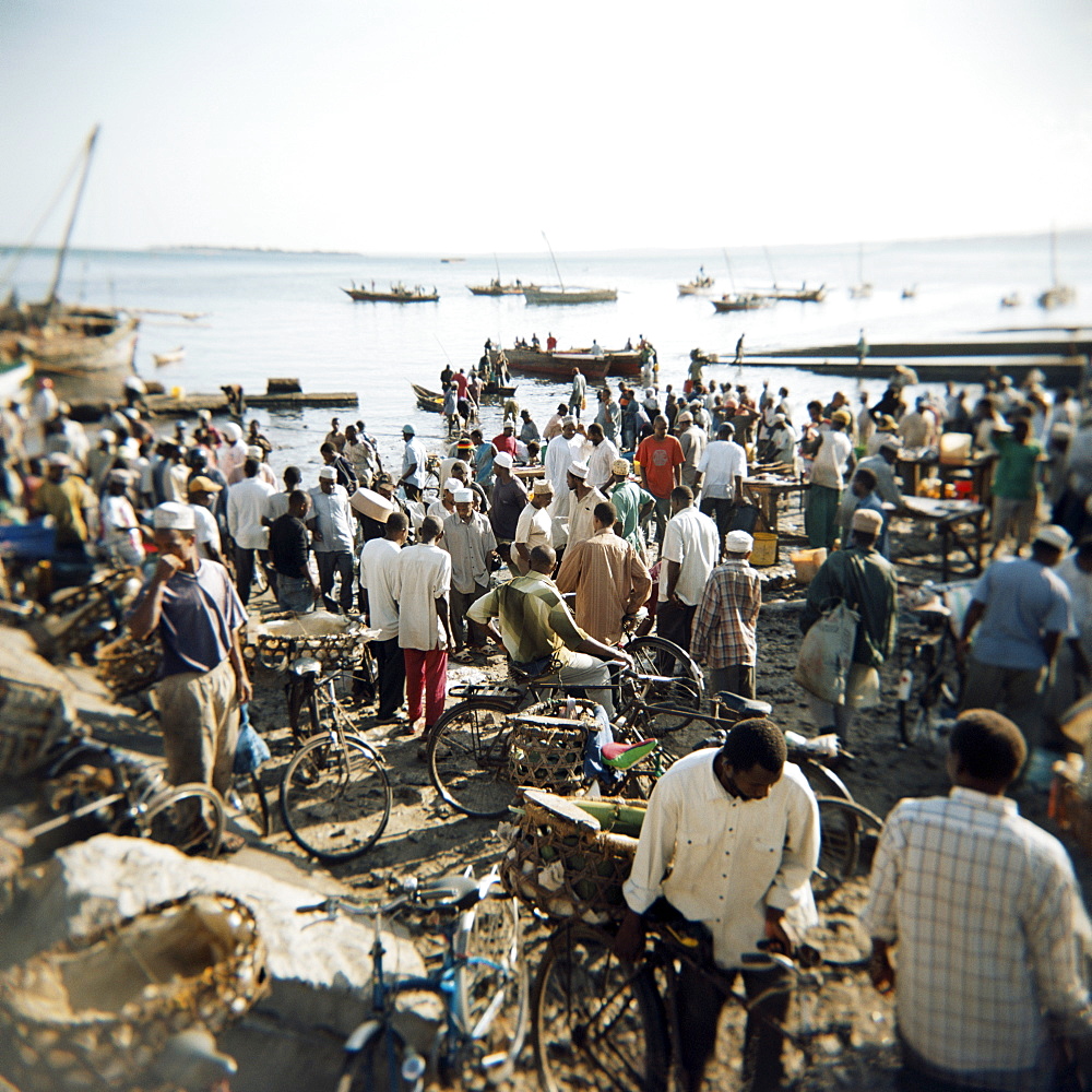 People waiting on beach for dhows to land fish, Stone Town, Zanzibar, Tanzania, East Africa, Africa