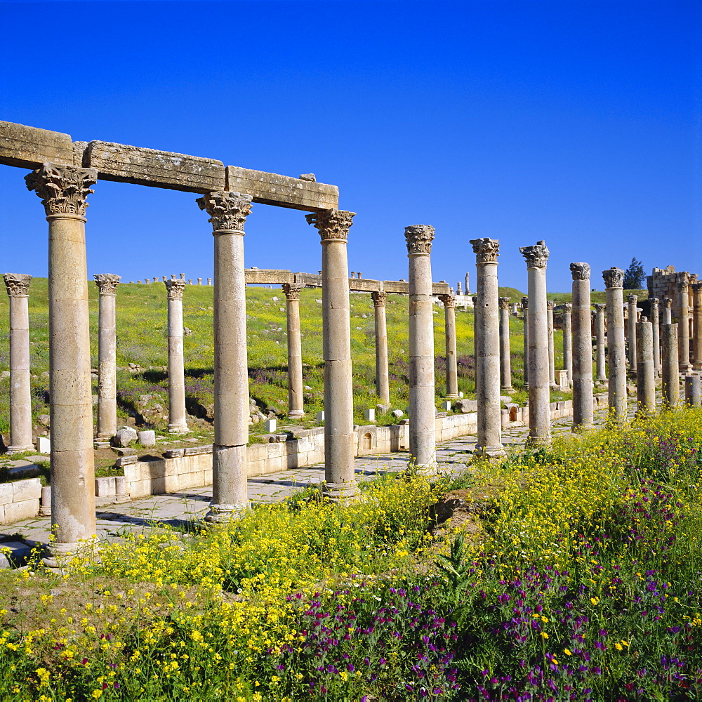 Cardo (main street) of the Roman Decapolis city, 1st century AD, Jerash, Jordan, Middle East