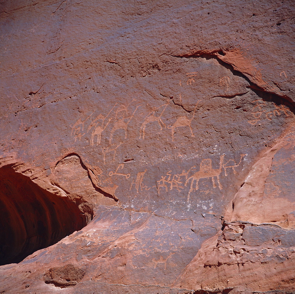 Thamudic inscriptions carved 2000 years ago by Arabian tribe of camel caravan on Jebal Umm Ishrin, Wadi Rum, Jordan, Middle East