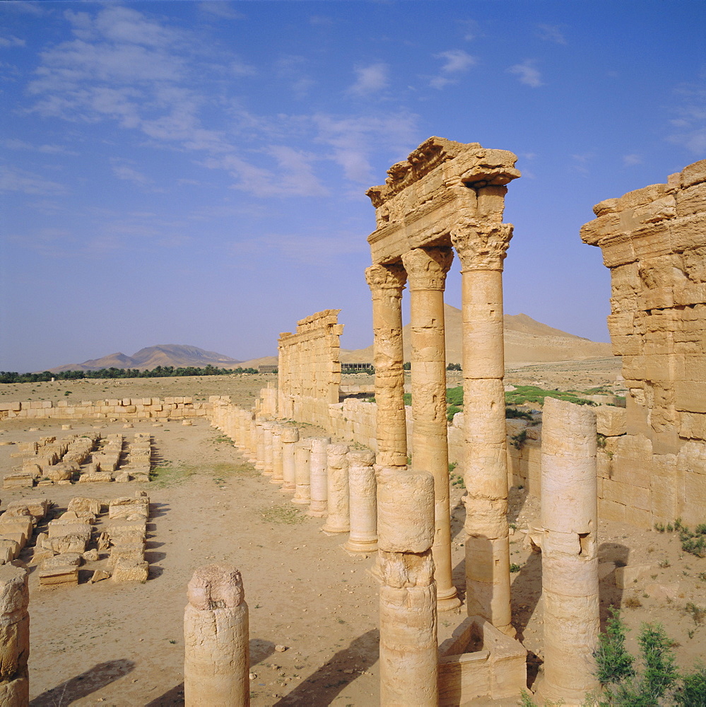 Graeco-Roman Agora, Palmyra, Syria, Middle East