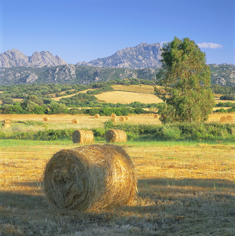 Straw bales in fields, Sardinia, Italy, Europe