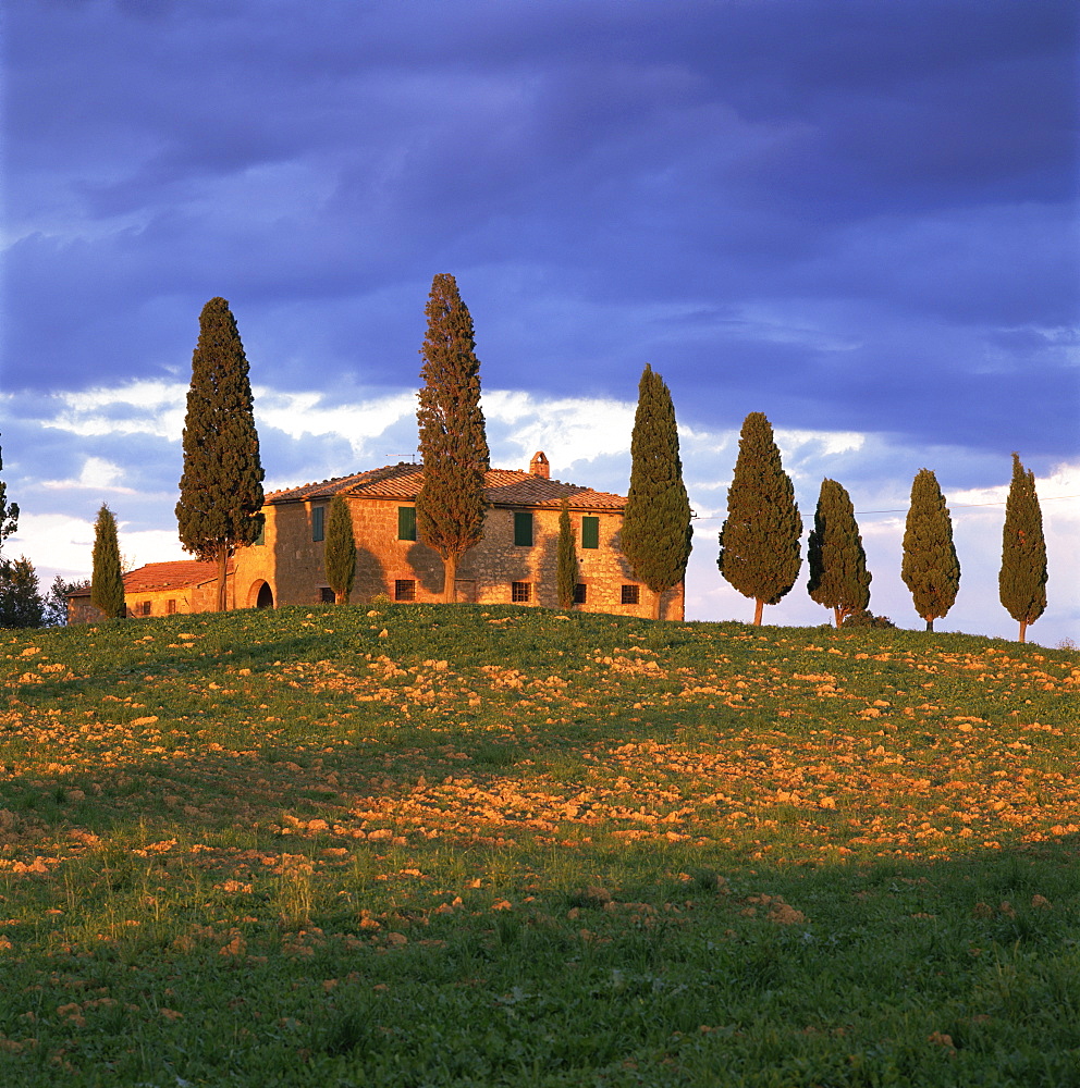 Farmhouse and trees near Pienza, Siena Province, Tuscany, Italy, Europe