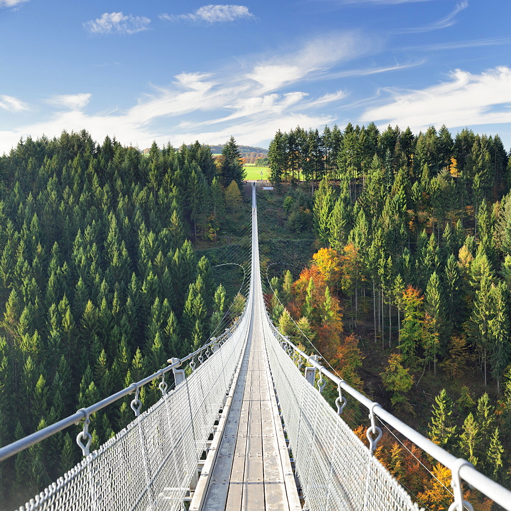 Hanging rope bridge Geierlay, Mörsdorfer Bachtal, Mörsdorf, Hunsrück, Rhineland-Palatinate, Germany, Europe