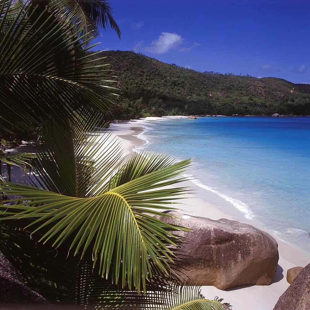 Weisser Sandstrand Anse Lazio, blaues Meer, Palmen, Praslin Seychellen