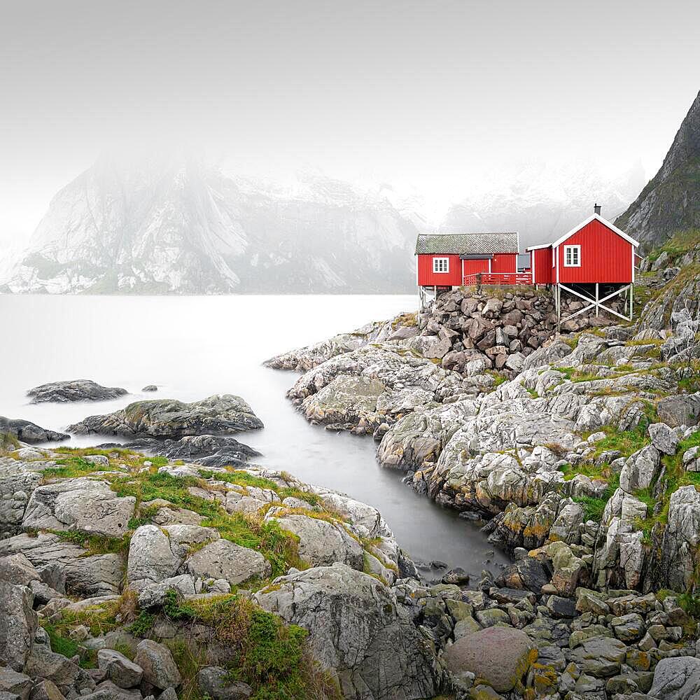 Red wooden houses by the fjord in Hamnoy, Lofoten, Norway, Europe