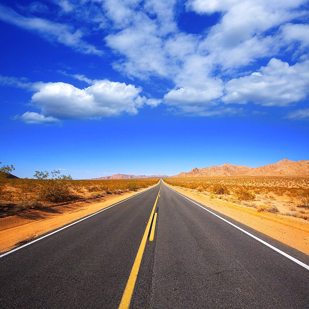 Mohave desert by Route 66 in California Yucca Valley USA