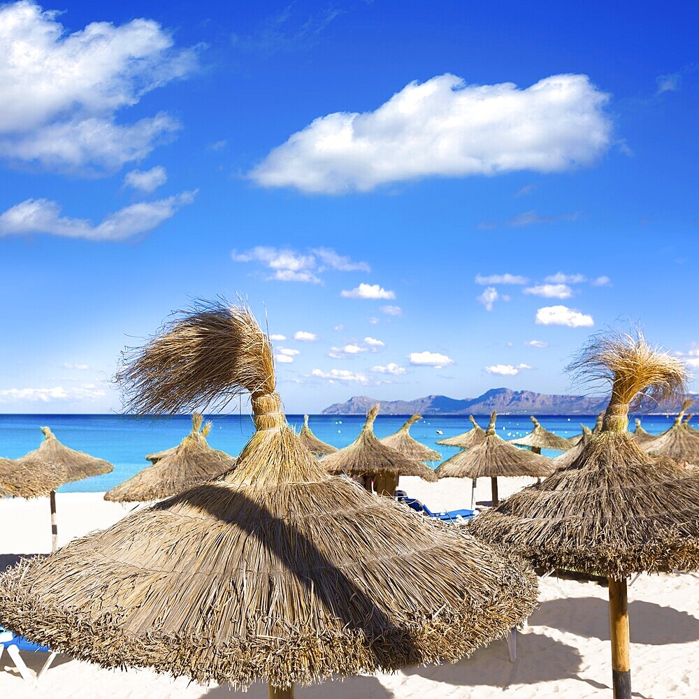 Mallorca Can Picafort beach in alcudia bay at Majorca Balearic islands of Spain