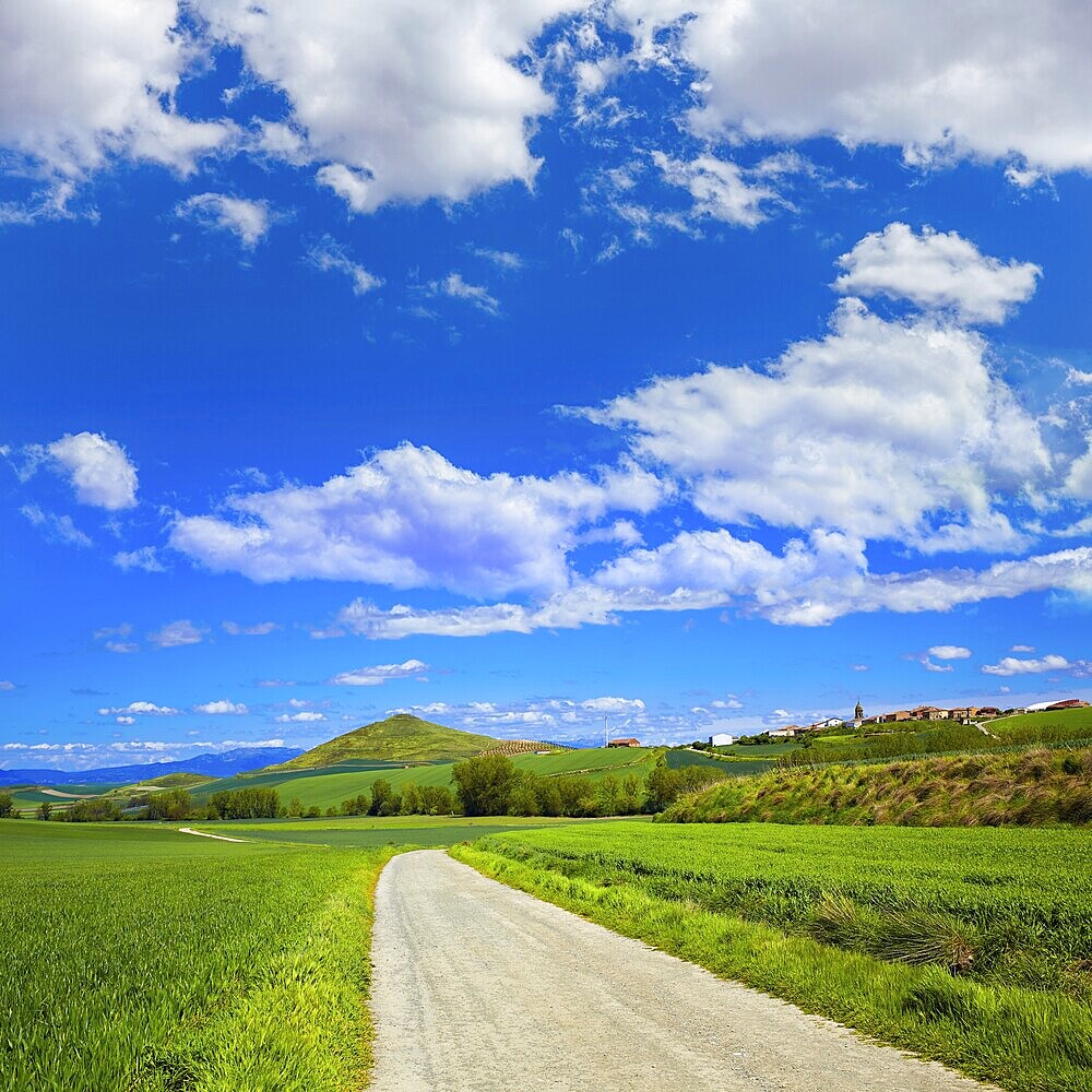 Cereal fields by The Way of Saint James in Castilla near Burgos