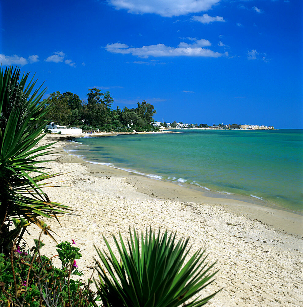 View along beach to the medina from the Sindbad Hotel, Hammamet, Cap Bon, Tunisia, North Africa, Africa