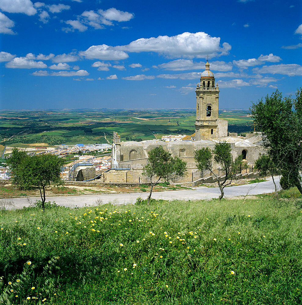 View over Santa Maria la Coronada church and old town, Medina Sidonia, Andalucia, Spain, Europe