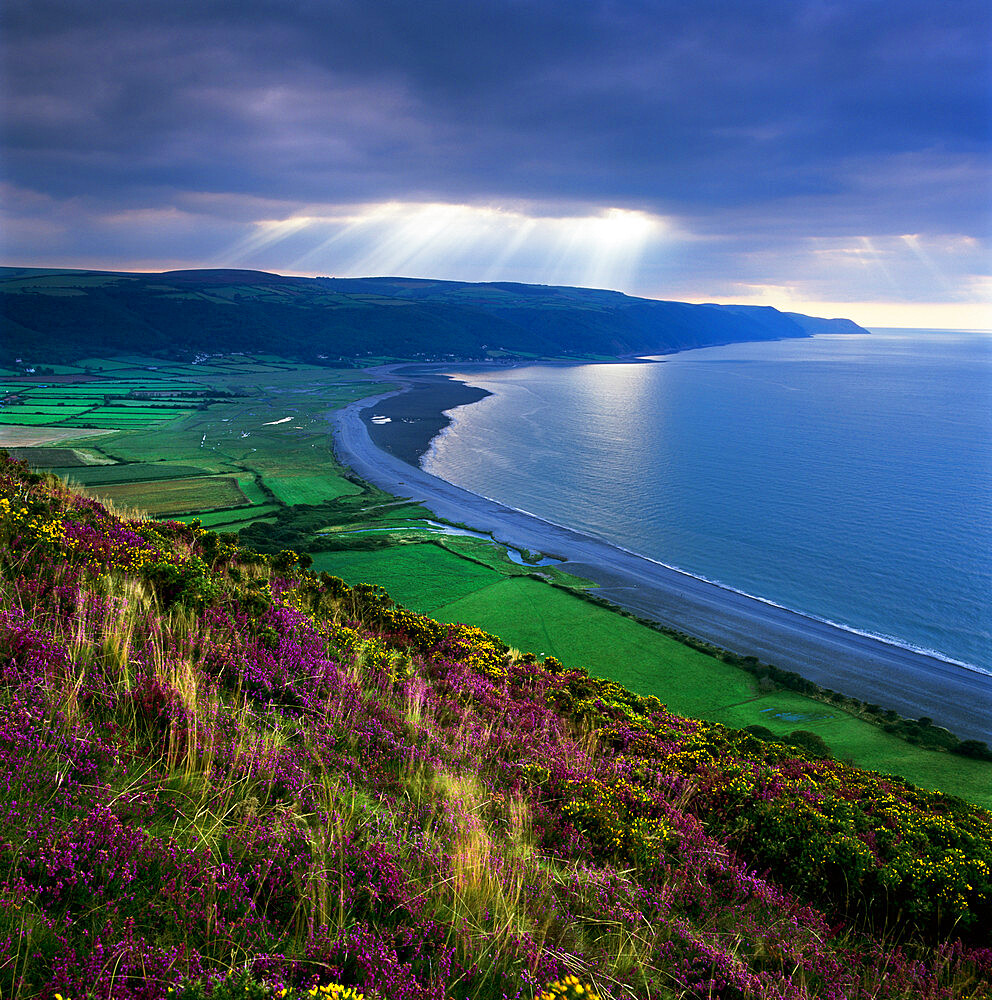 Porlock Bay, Porlock, Somerset, England, United Kingdom, Europe