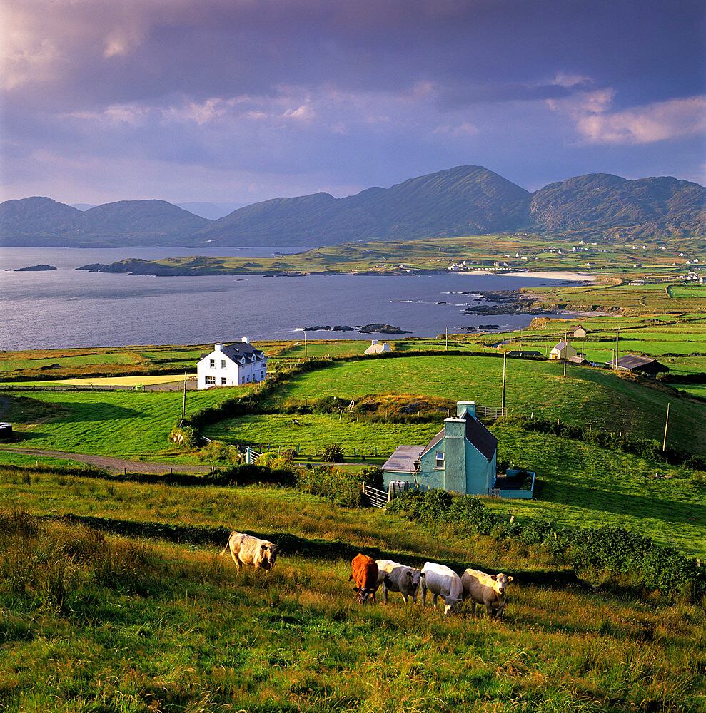 View over Allihies and Ballydonegan Bay, Beara Peninsula, County Cork, Munster, Republic of  Ireland, Europe