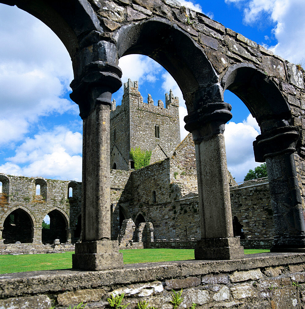 Ruins of Cistercian Jerpoint Abbey, Jerpoint, County Kilkenny, Leinster, Republic of Ireland, Europe