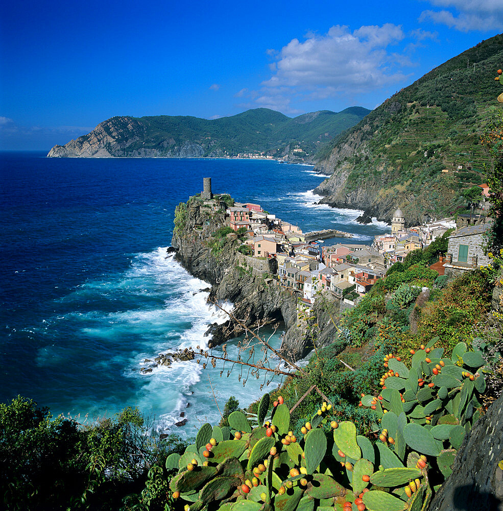 View of the Cinque Terre village of Vernazza, UNESCO World Heritage Site, Liguria, Italy, Mediterranean, Europe