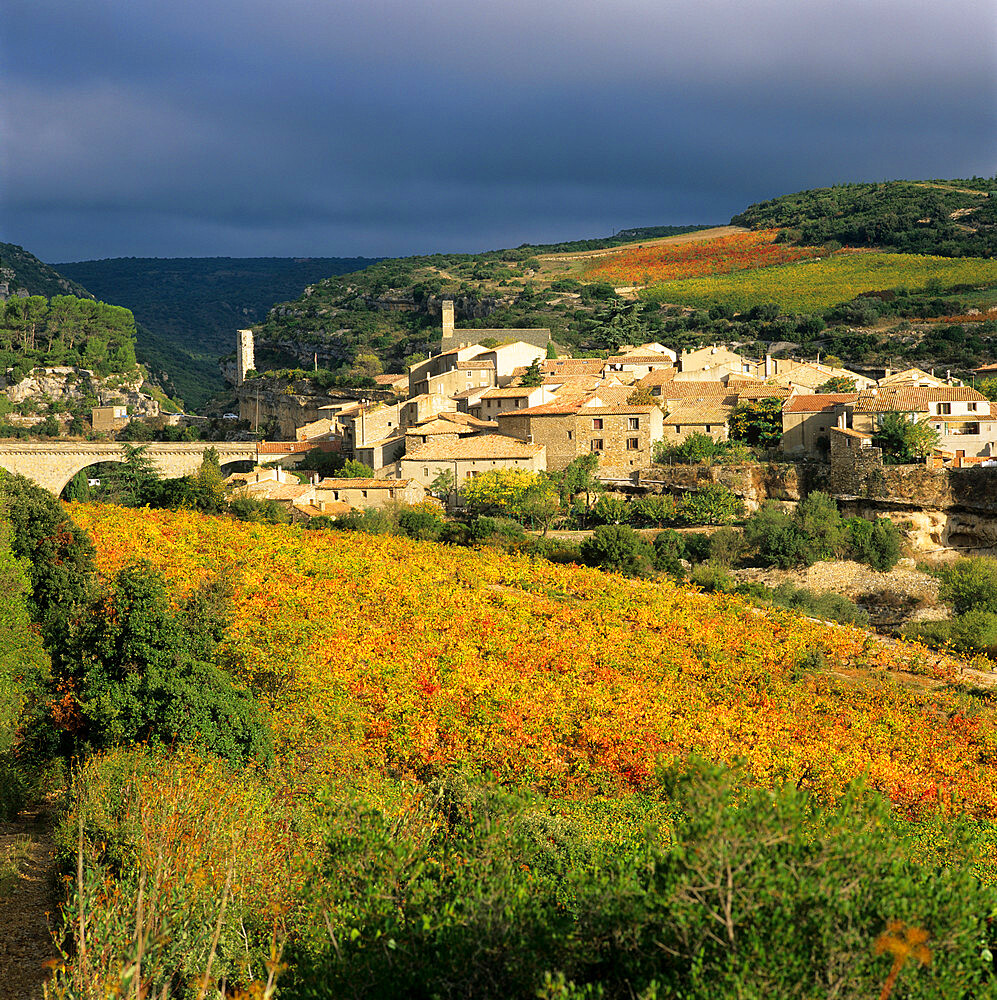 View over village and Minervois vineyards, Minerve, Languedoc-Roussillon, France, Europe