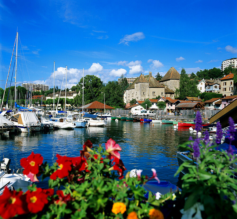 View over harbour, Thonon-Les-Bains, Lake Geneva (Lac Leman), Rhone Alpes, France, Europe