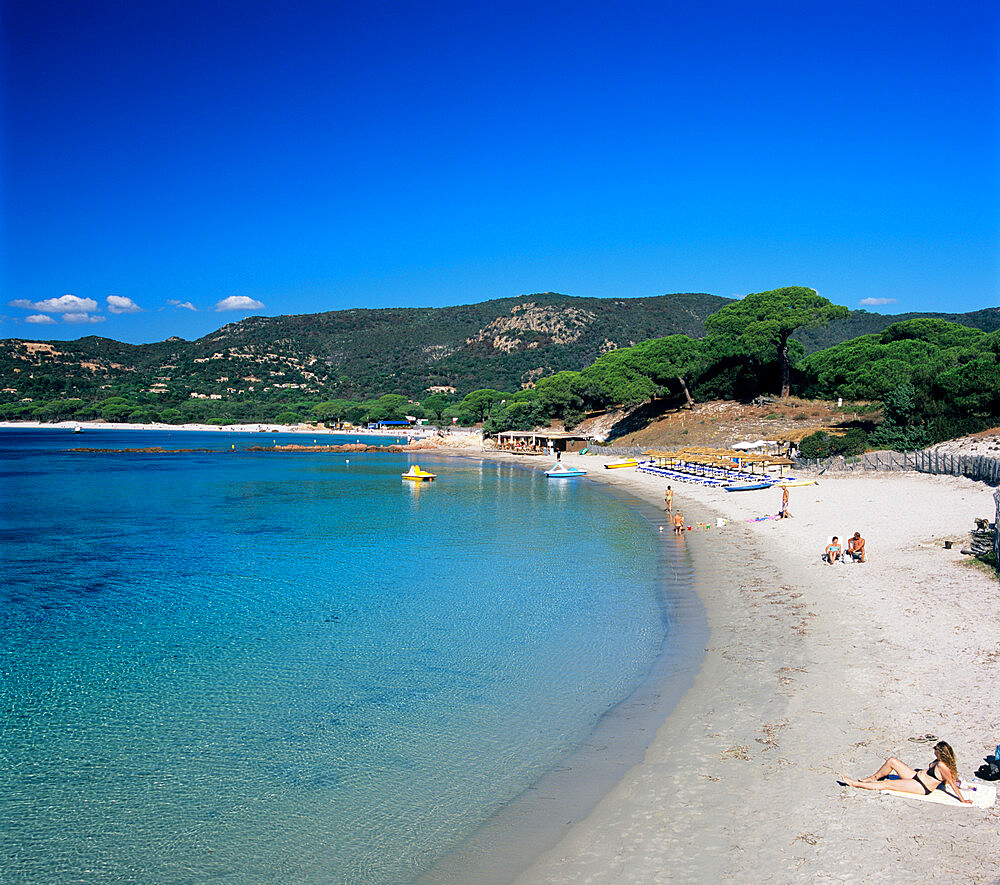 Palombaggia Beach, near Porto Vecchio, southeast coast, Corsica, France, Mediterranean, Europe