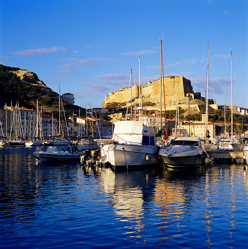 View over the Marina to Citadel and Haute Ville, Bonifacio, south coast, Corsica, France, Mediterranean, Europe