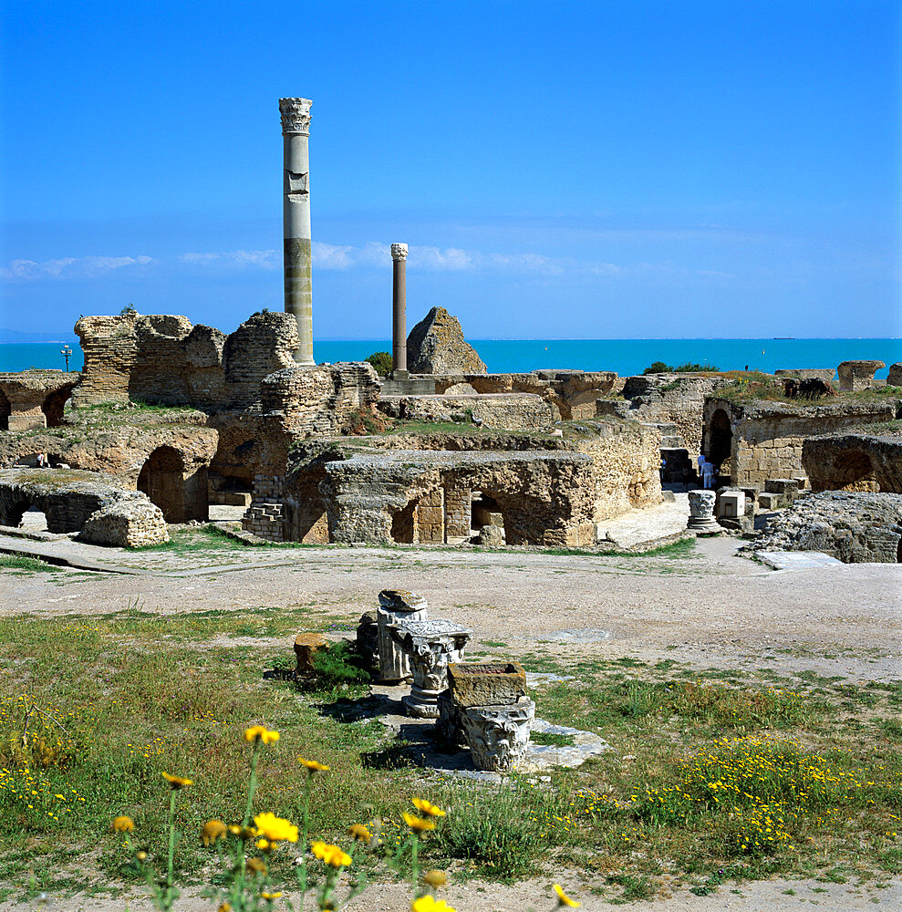 Ruins of ancient Roman baths, Antonine Baths, Carthage, UNESCO World Heritage Site, Tunis, Tunisia, North Africa, Africa